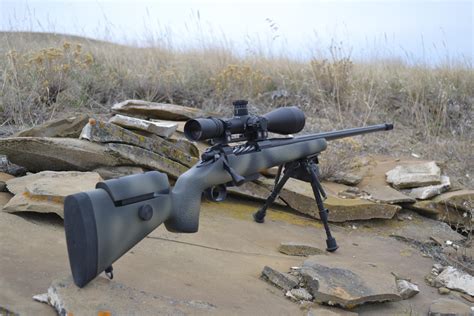 308" 175 gr LRX- 1600 fps. . Long range hunting forum